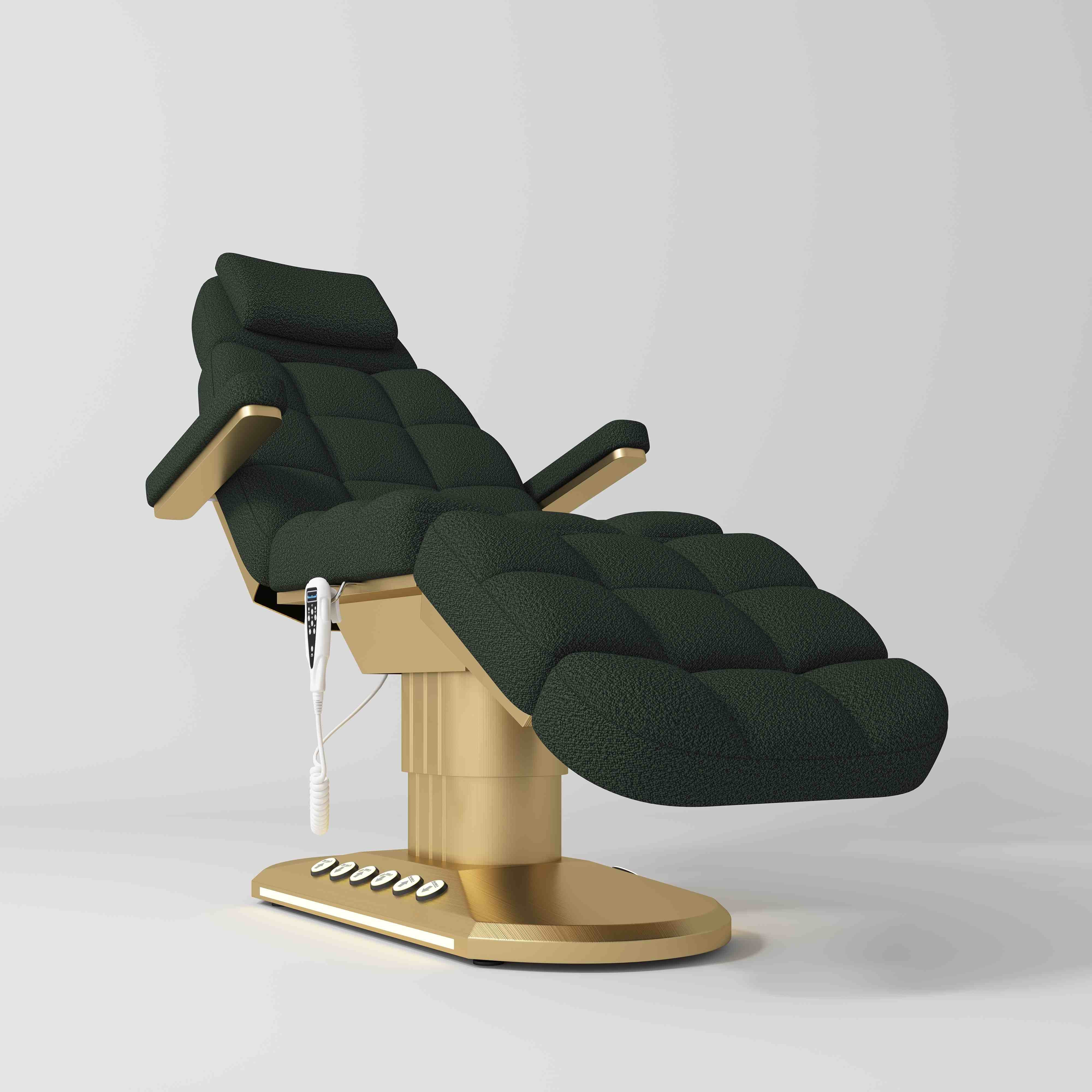 Orielle Version A Luxury Electric Beauty Bed with Dual Controls Teddy Dark Green