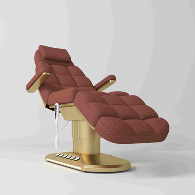 Orielle Version A Luxury Electric Beauty Bed with Dual Controls Teddy Maroon