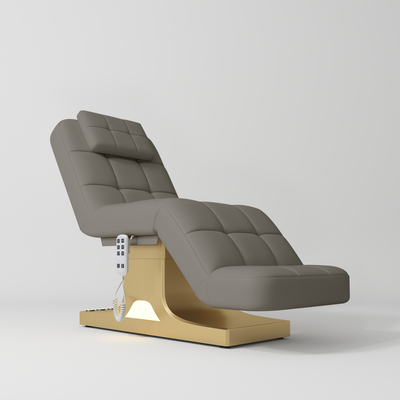 Saphir Version A Electric Beauty Bed with Dual Controls Deep Ash