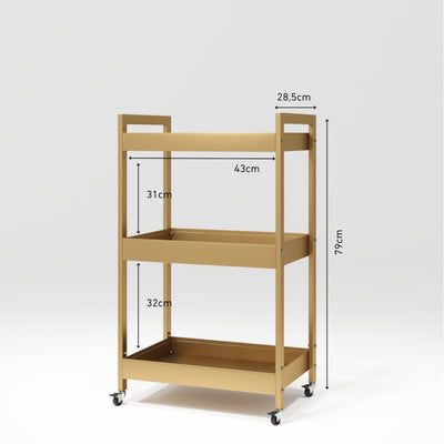 Professional Beauty Trolley with Wheels Mobile Assistant Gold Dimensions